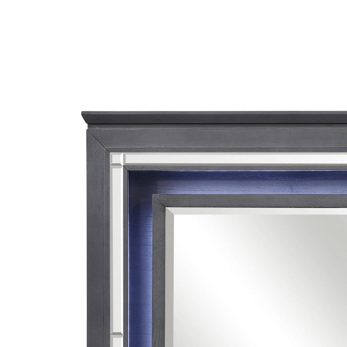 Contemporary Style Beveled Edge Mirror with LED Light, Gray and Silver  - BM219082