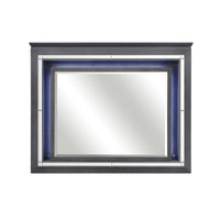 Contemporary Style Beveled Edge Mirror with LED Light, Gray and Silver  - BM219082