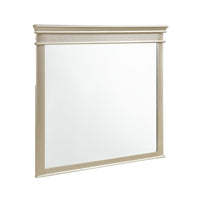 Rectangular Molded Wood Encased Mirror, Champagne Silver  - BM219885