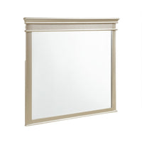 Rectangular Molded Wood Encased Mirror, Champagne Silver  - BM219885