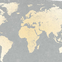 Wooden Surfboard Wall Art with World Map Print, Gray and White - BM220210