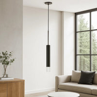 Hexagonal Metal Frame Single LED Light Pendant with Glass Diffuser, Black - BM220652