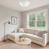 Dome Shaped Glass Ceiling Lamp with Hardwired Switch, White and Clear - BM220713