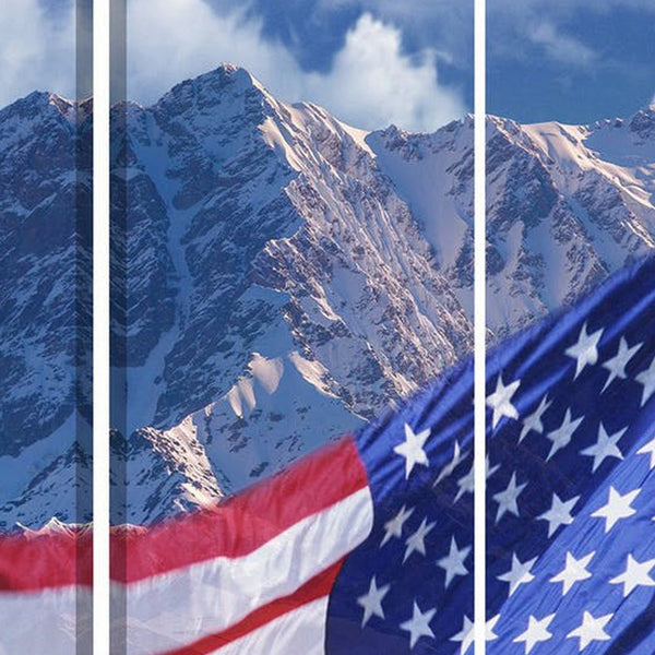 American Flag Printed Wood and Canvas 3 Panel Screen, Multicolor - BM228608