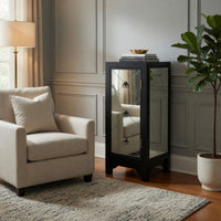 34 Inch Wood and Mirror Storage Chest with 1 Door, Black - BM229409