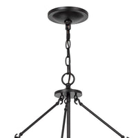 Chandelier with Metal Bird Cage Pendulum Design, Black  - BM241879