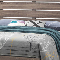 Queen Bed with Panel Headboard and Footboard, Brown  - BM242644