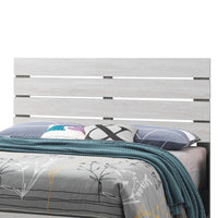 Queen Bed with Panel Headboard and Footboard, White  - BM242650