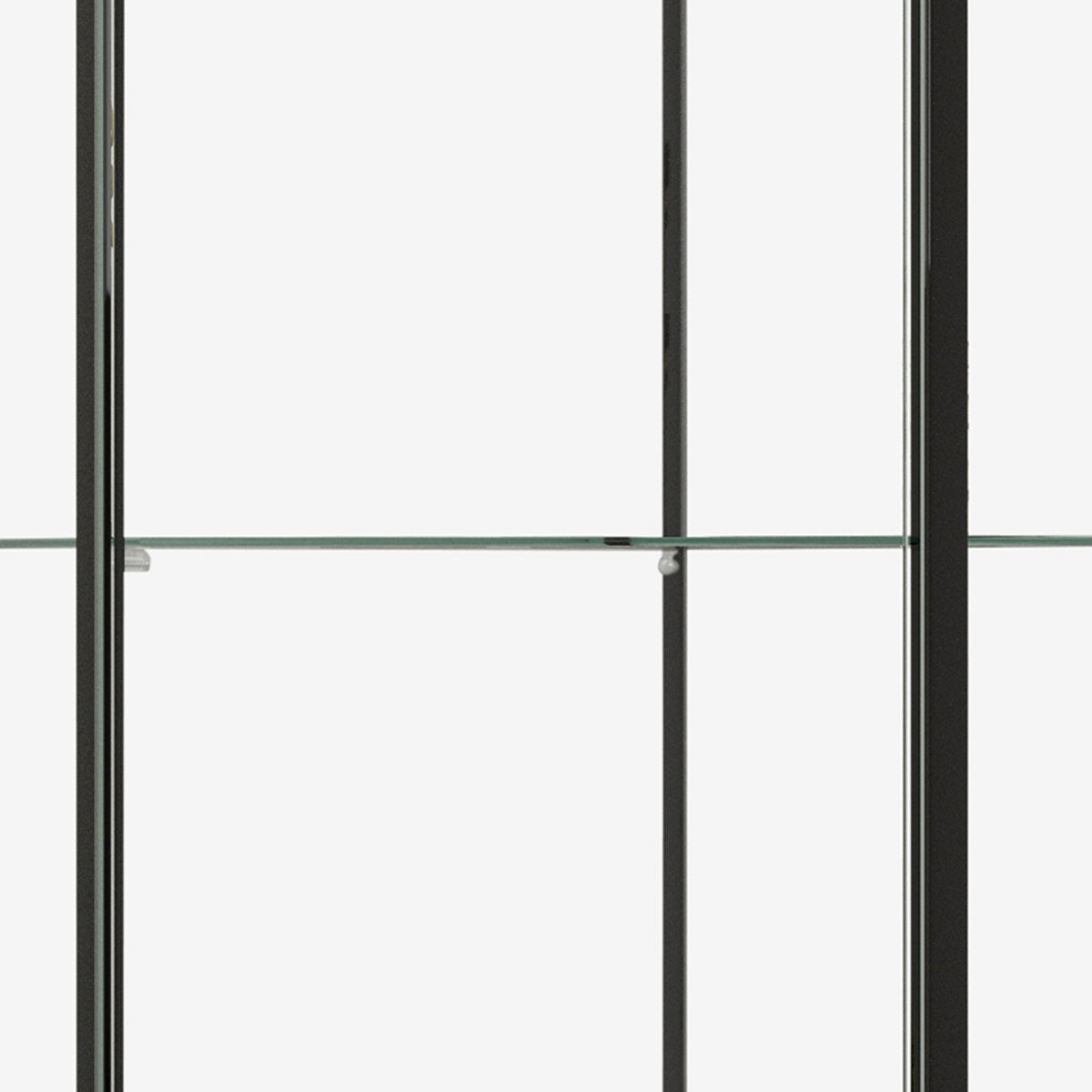 Metal Curio Cabinet with 1 Door and 3 Glass Shelves, Black  - BM245890