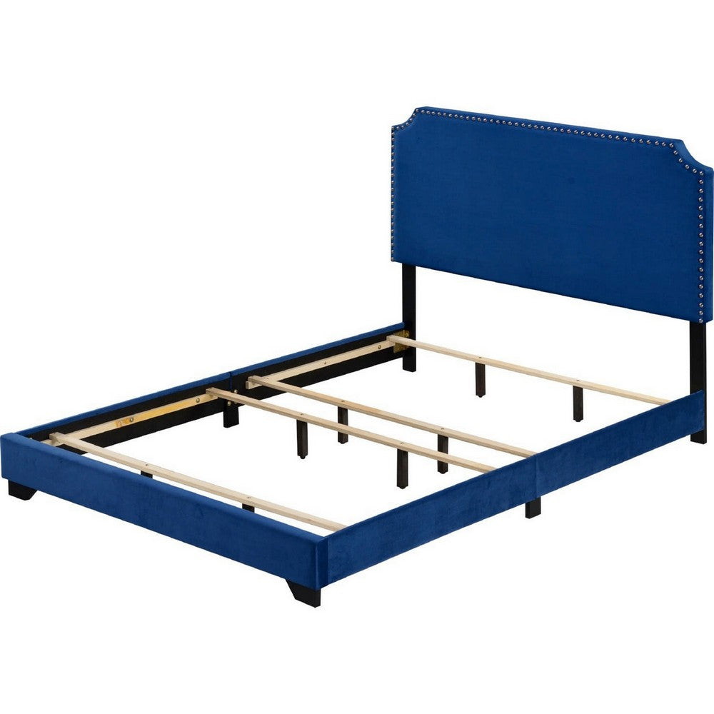 Queen Bed with Platform Style and Nailhead Trim, Blue - BM250409