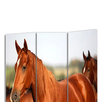 3 Panel Foldable Wooden Screen with Horse Print, Brown - BM26507