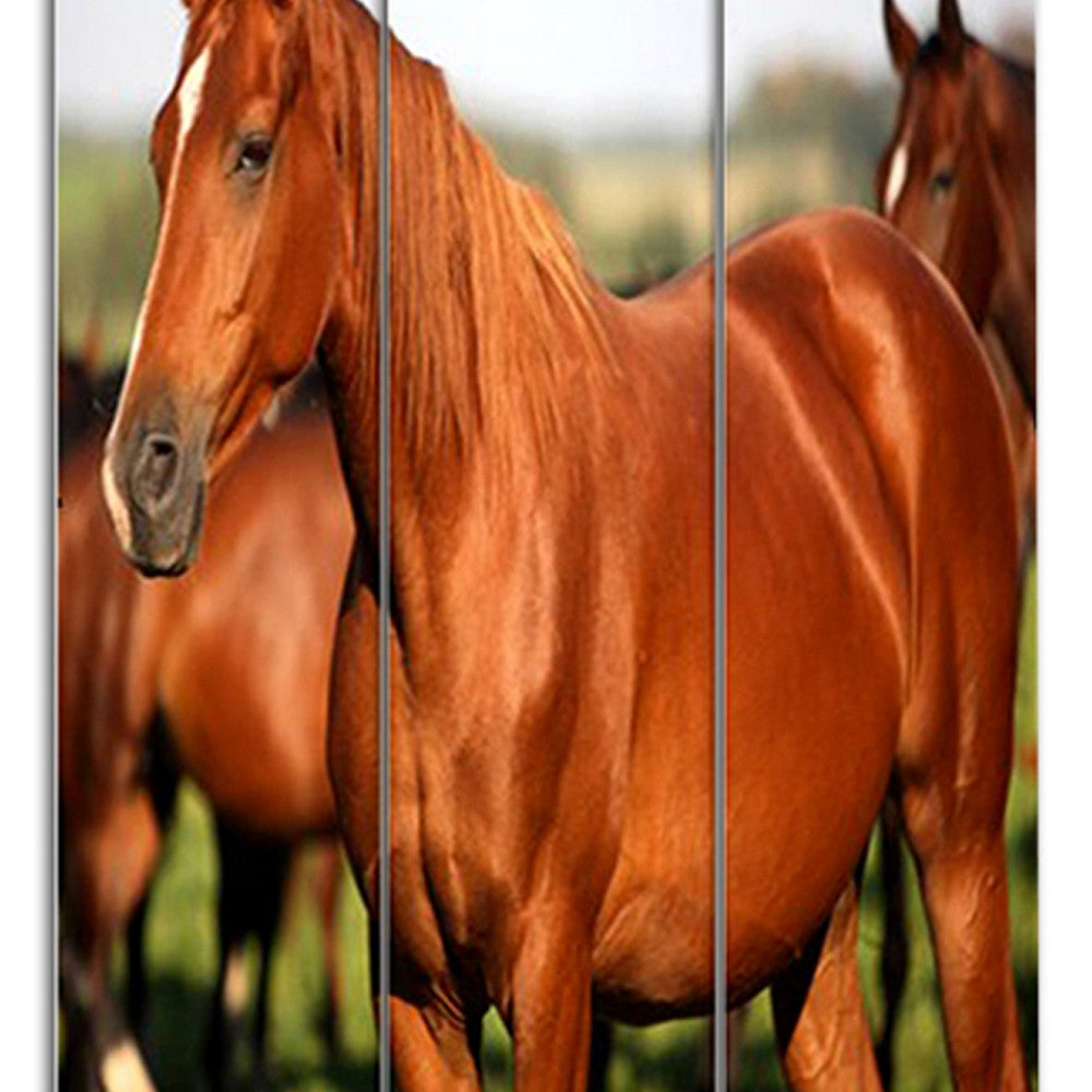 3 Panel Foldable Wooden Screen with Horse Print, Brown - BM26507