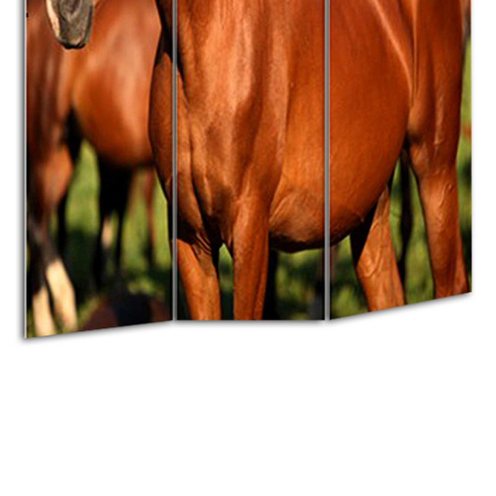 3 Panel Foldable Wooden Screen with Horse Print, Brown - BM26507
