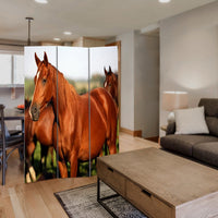 3 Panel Foldable Wooden Screen with Horse Print, Brown - BM26507