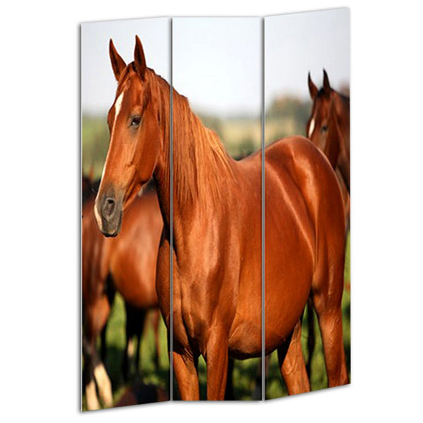 3 Panel Foldable Wooden Screen with Horse Print, Brown - BM26507