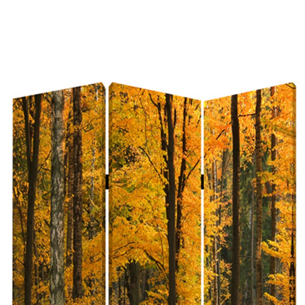 Foldable Canvas Screen with 3 Panel Autumn Forest Print, Multicolor - BM26511