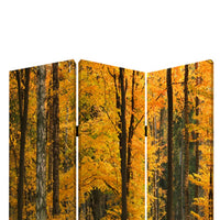 Foldable Canvas Screen with 3 Panel Autumn Forest Print, Multicolor - BM26511