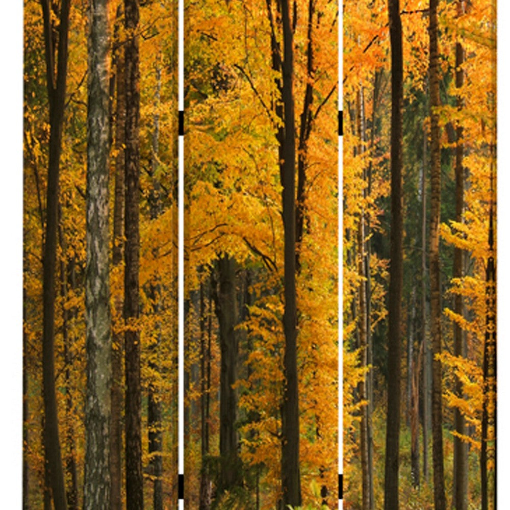 Foldable Canvas Screen with 3 Panel Autumn Forest Print, Multicolor - BM26511
