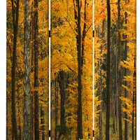 Foldable Canvas Screen with 3 Panel Autumn Forest Print, Multicolor - BM26511