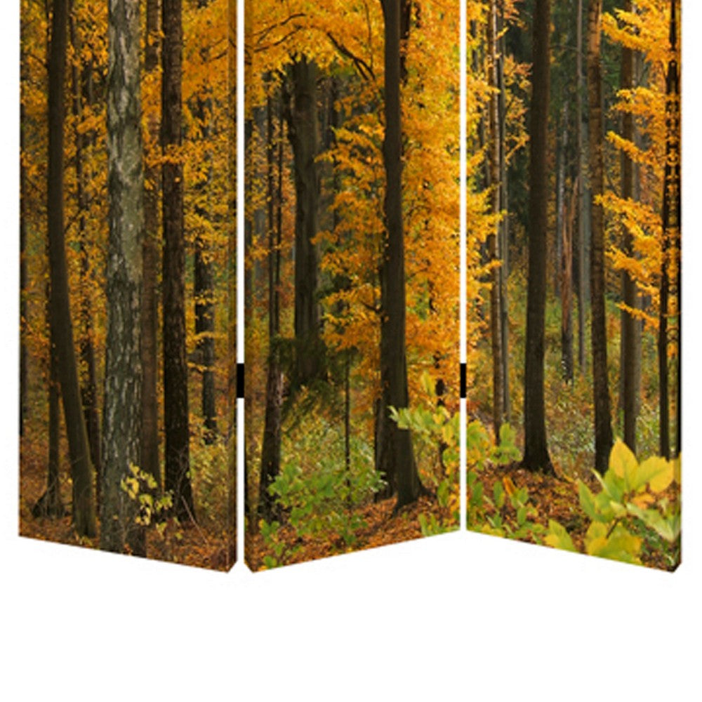 Foldable Canvas Screen with 3 Panel Autumn Forest Print, Multicolor - BM26511