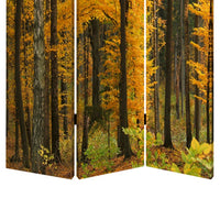 Foldable Canvas Screen with 3 Panel Autumn Forest Print, Multicolor - BM26511