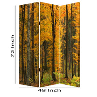 Foldable Canvas Screen with 3 Panel Autumn Forest Print, Multicolor - BM26511