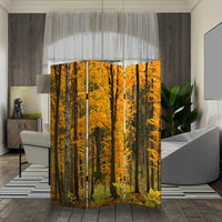 Foldable Canvas Screen with 3 Panel Autumn Forest Print, Multicolor - BM26511