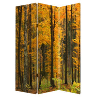 Foldable Canvas Screen with 3 Panel Autumn Forest Print, Multicolor - BM26511