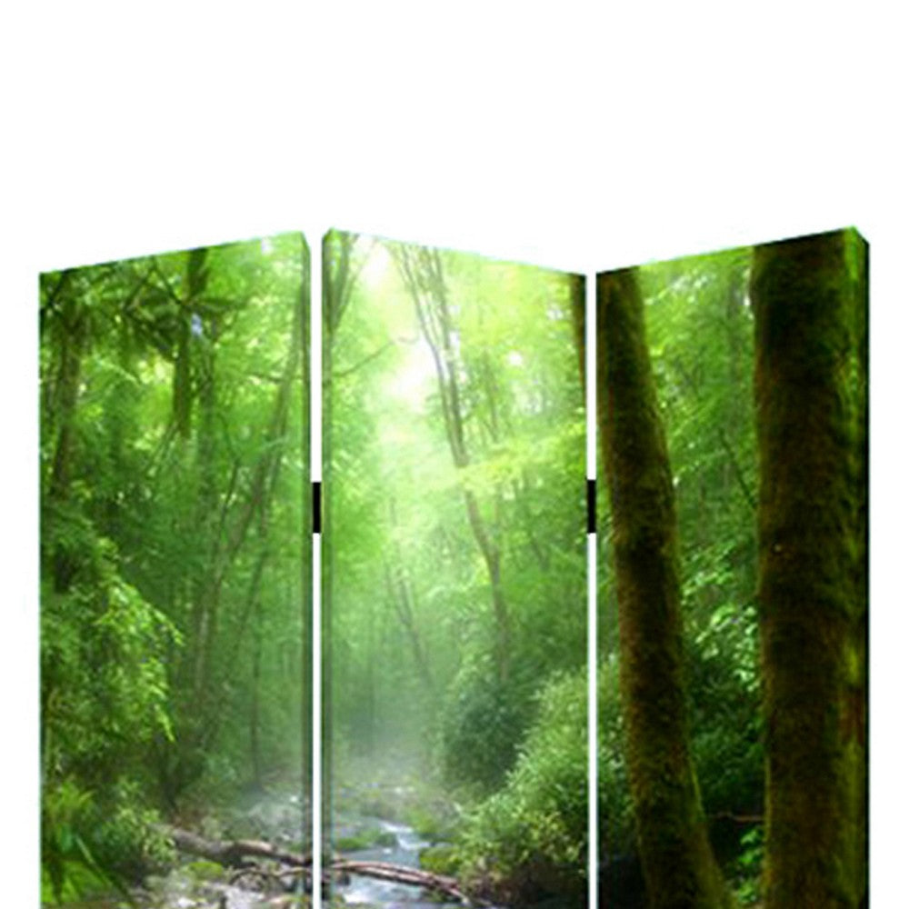 3 Panel Foldable Canvas Screen with Rainforest Print, Green - BM26514