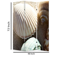 3 Panel Foldable Canvas Screen with Seashell Print, Brown and White - BM26515