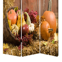 3 Panel Foldable Canvas Screen with Vegetable Still Print, Multicolor - BM26529