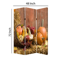 3 Panel Foldable Canvas Screen with Vegetable Still Print, Multicolor - BM26529