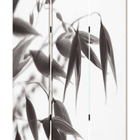3 Panel Foldable Canvas Screen with Lily Print, Black and White - BM26531