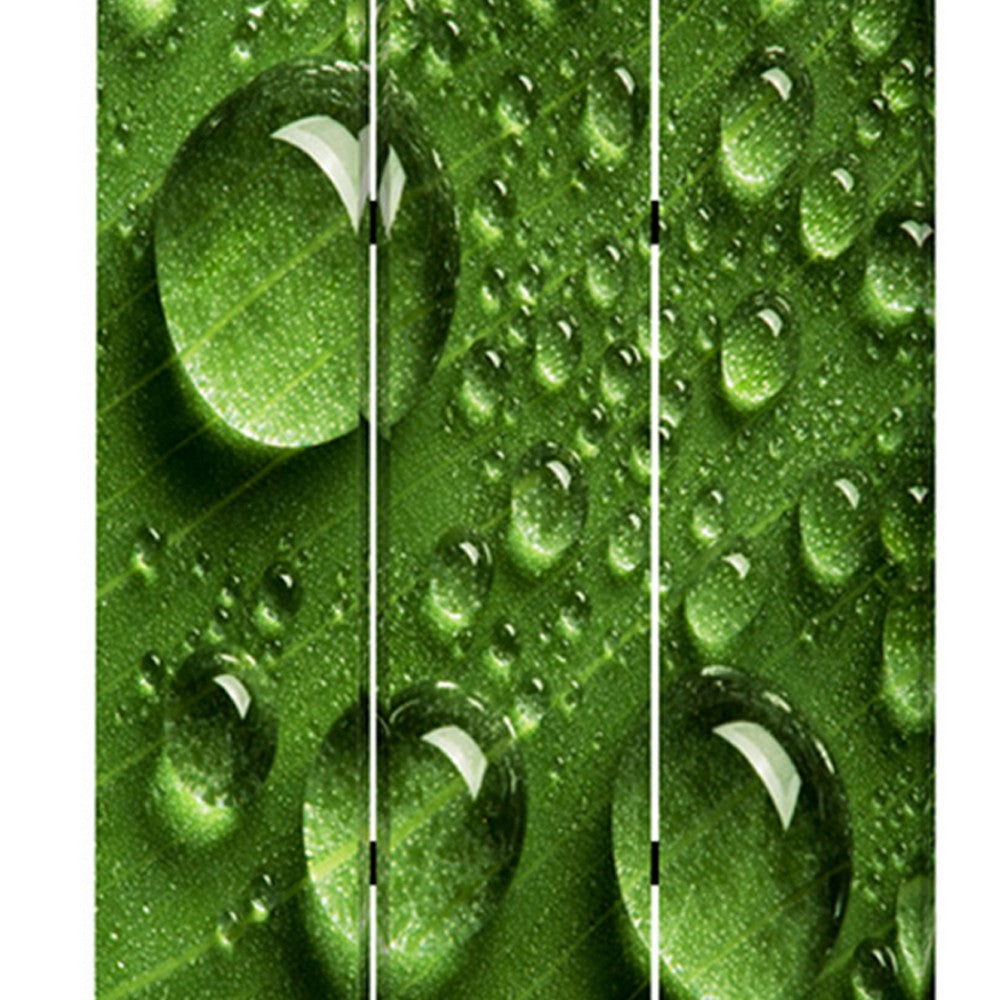 Morning Dew Print Foldable Canvas Screen with 3 Panels, Green - BM26532