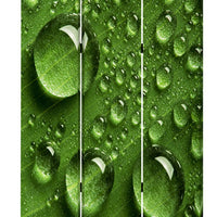 Morning Dew Print Foldable Canvas Screen with 3 Panels, Green - BM26532