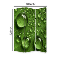 Morning Dew Print Foldable Canvas Screen with 3 Panels, Green - BM26532
