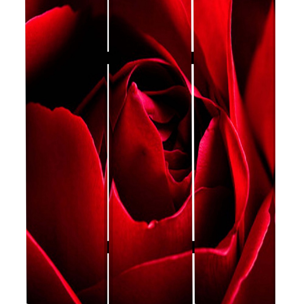 3 Panel Foldable Canvas Screen with Rose Print, Red - BM26536
