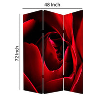 3 Panel Foldable Canvas Screen with Rose Print, Red - BM26536