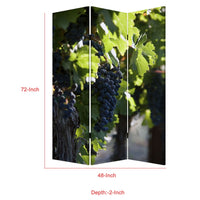 Grape Vine Print Foldable Canvas Screen with 3 Panels, Multicolor - BM26549
