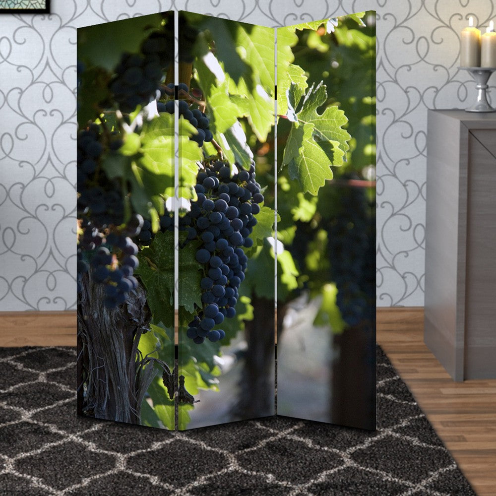 Grape Vine Print Foldable Canvas Screen with 3 Panels, Multicolor - BM26549