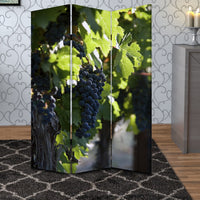 Grape Vine Print Foldable Canvas Screen with 3 Panels, Multicolor - BM26549