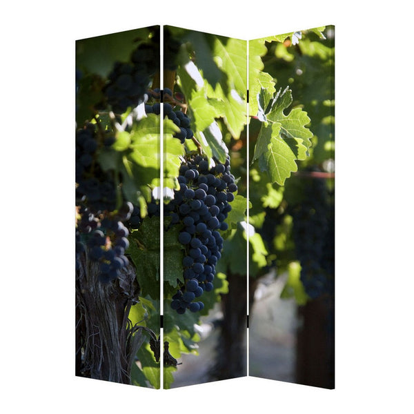Grape Vine Print Foldable Canvas Screen with 3 Panels, Multicolor - BM26549