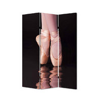 Ballet Shoe Print Foldable Canvas Screen with 3 Panels, Black and Pink - BM26550