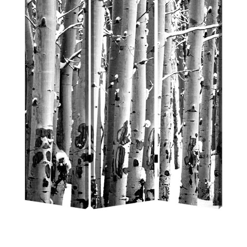 3 Panel Canvas Foldable Screen with Birch Print, Black and White - BM26560