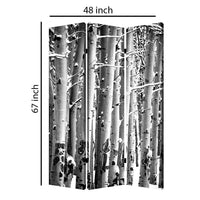 3 Panel Canvas Foldable Screen with Birch Print, Black and White - BM26560