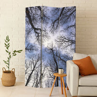 3 Panel Foldable Canvas Screen with Tree Print, Black - BM26561