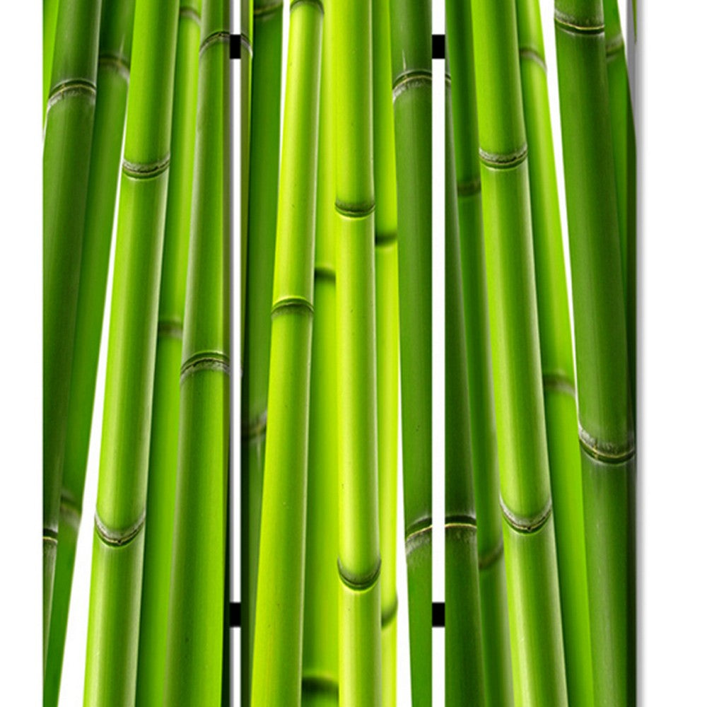 3 Panel Foldable Room Divider with Bamboo Design Print, Green - BM26562