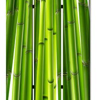 3 Panel Foldable Room Divider with Bamboo Design Print, Green - BM26562