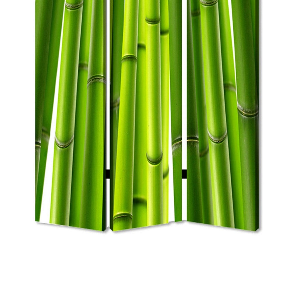 3 Panel Foldable Room Divider with Bamboo Design Print, Green - BM26562