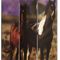 Wooden Screen with Artwork of Horses Galloping, Multicolor - BM26654